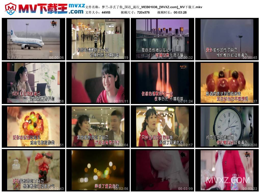 梦兰-弄丢了你_国语_流行_MEB01036